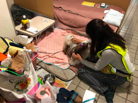 北海道胆振東部地震での避難所の様子
